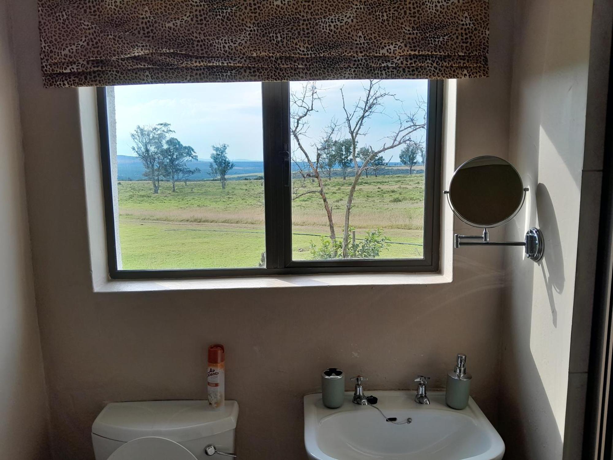 The Ranch House At African Safari Lodge Grahamstown Bilik gambar
