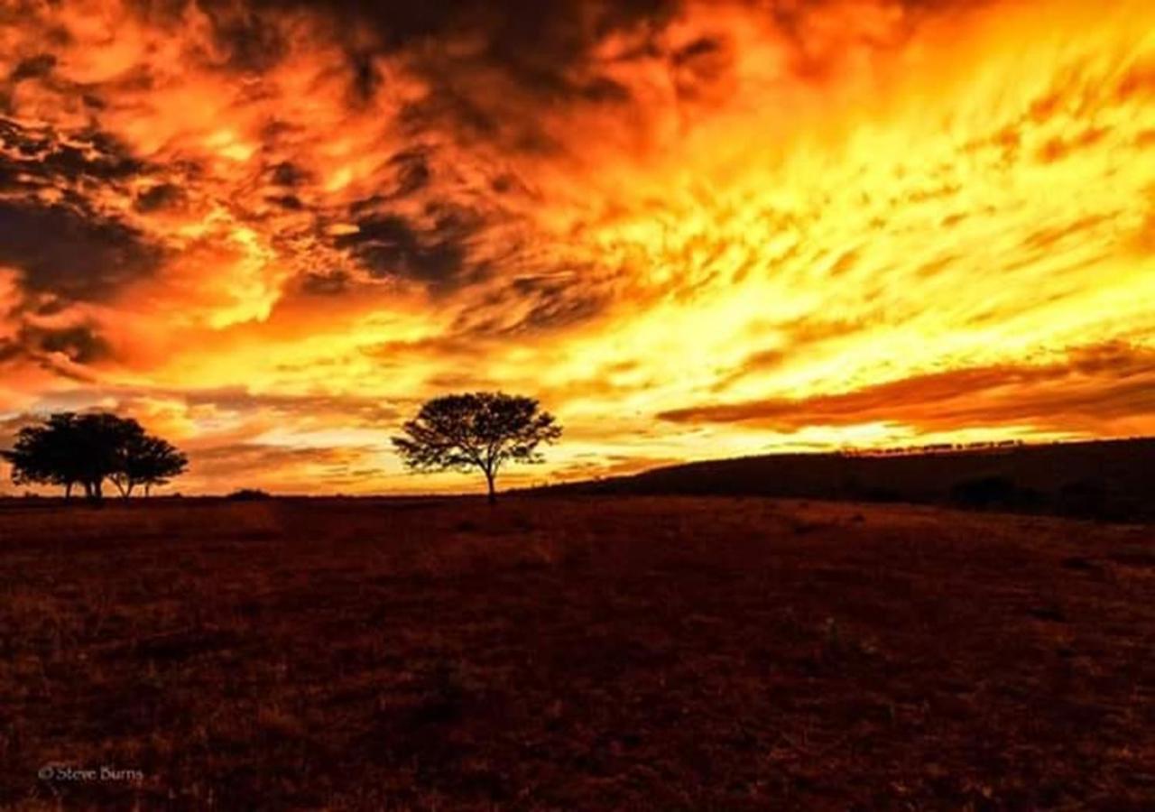The Ranch House At African Safari Lodge Grahamstown Luaran gambar